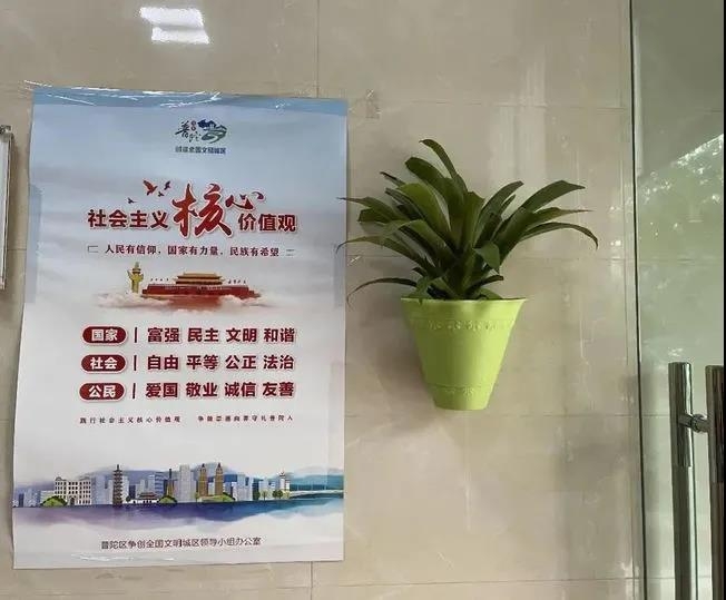 墙挂盆栽 墙挂盆栽