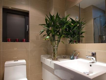 卫生间切忌摆放这几样东西，有钱人一看就懂，难怪身体越住越差